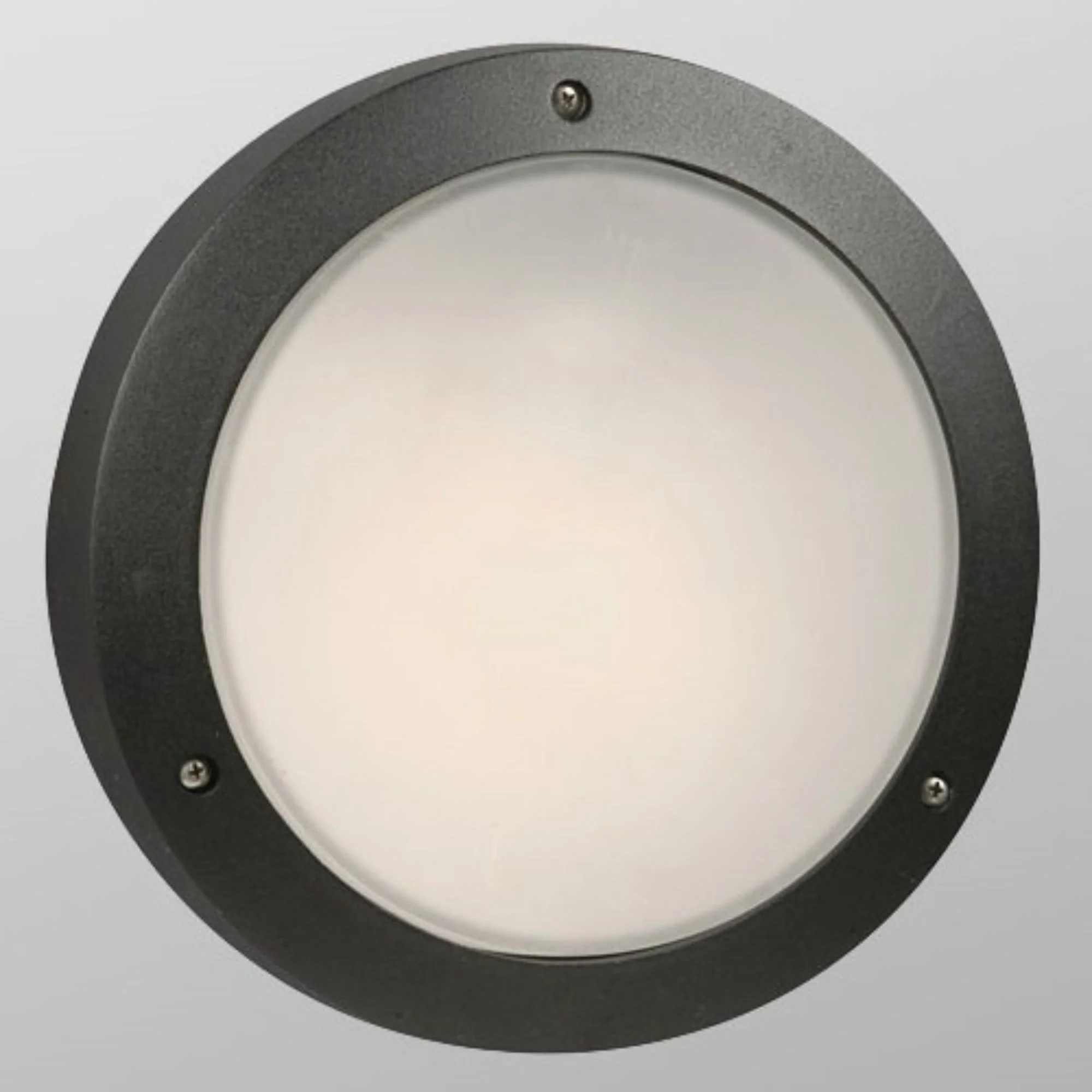 1-Light Cast Aluminum Outdoor Fixture in Black with Frosted Glass, 305063BK