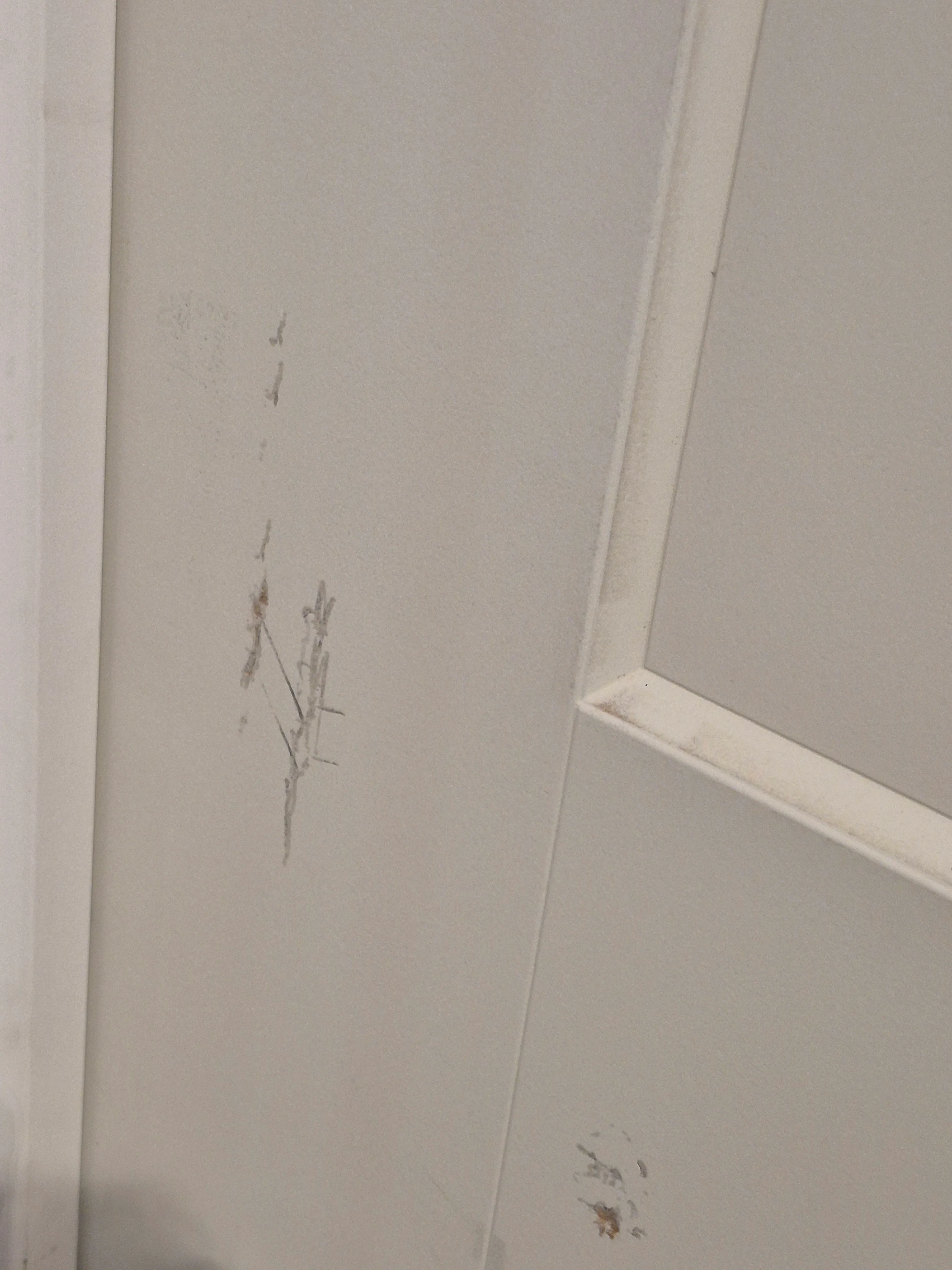 36-inch x 80-inch x 4 9/16-inch 1-Panel Solid Core Single Prehung Interior Door LH (NH) - Image 3
