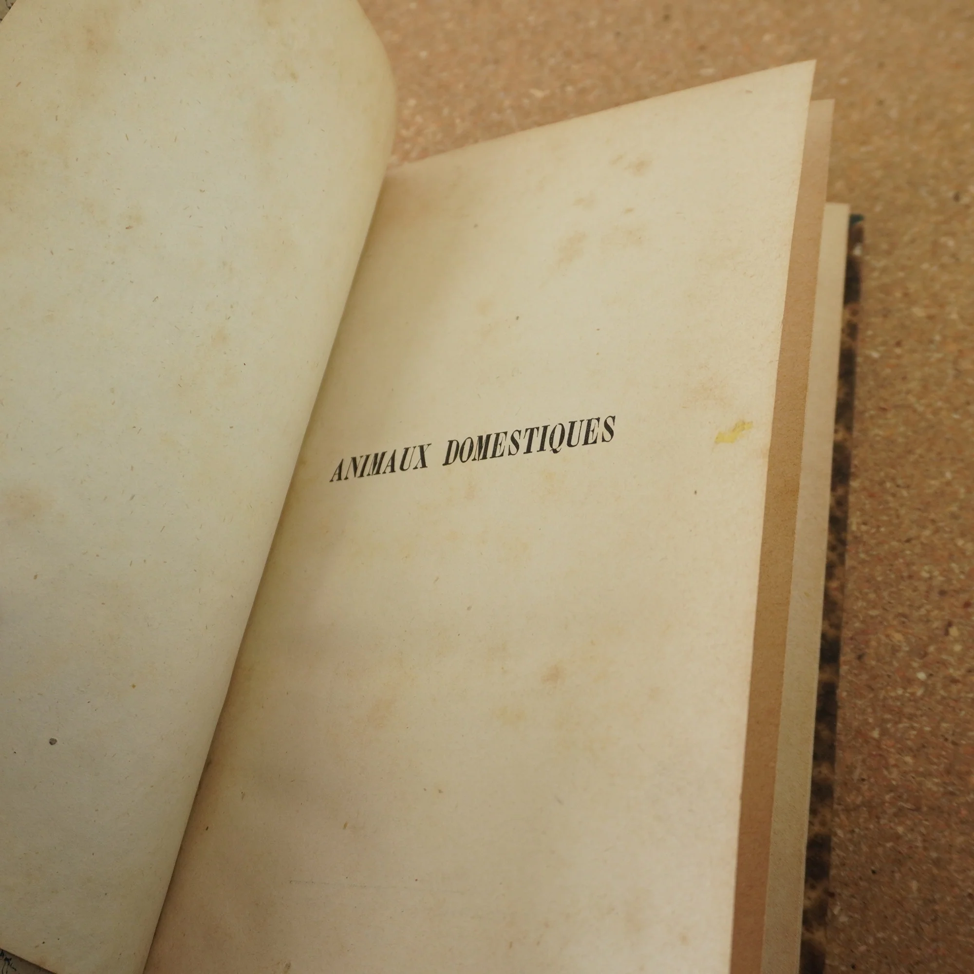 Animaux Domestiques, Zootechnie Générale 1873 - Image 4